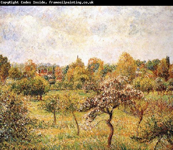 Camille Pissarro The apple trees on the lawn